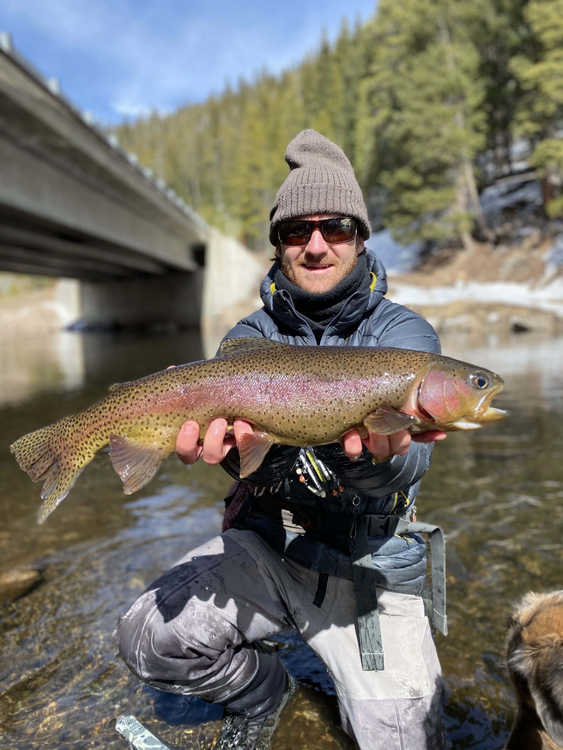 Aspen Trout Guide Nicky Mill