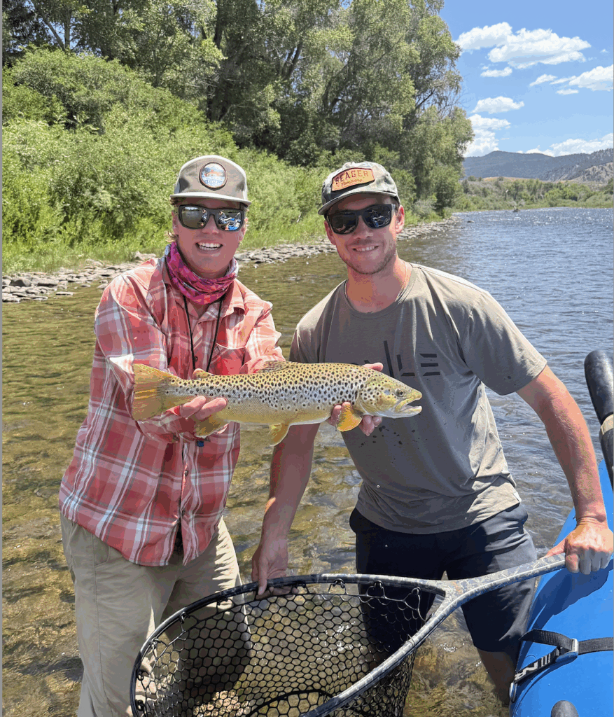 Chase with a beautiful Fork brown Trout Fishing