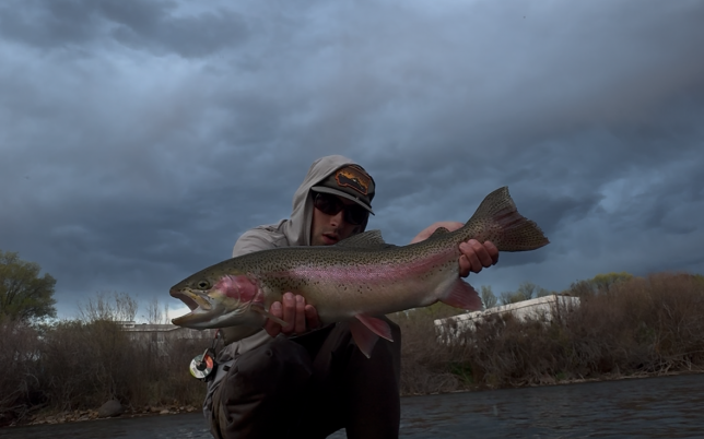 Trout Fishing Aspen